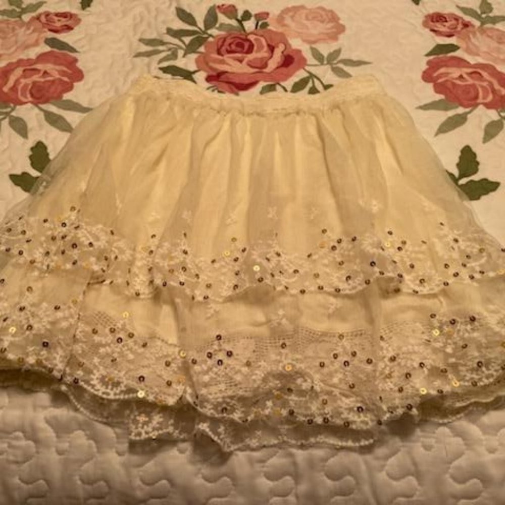 Tulle and lace skirt